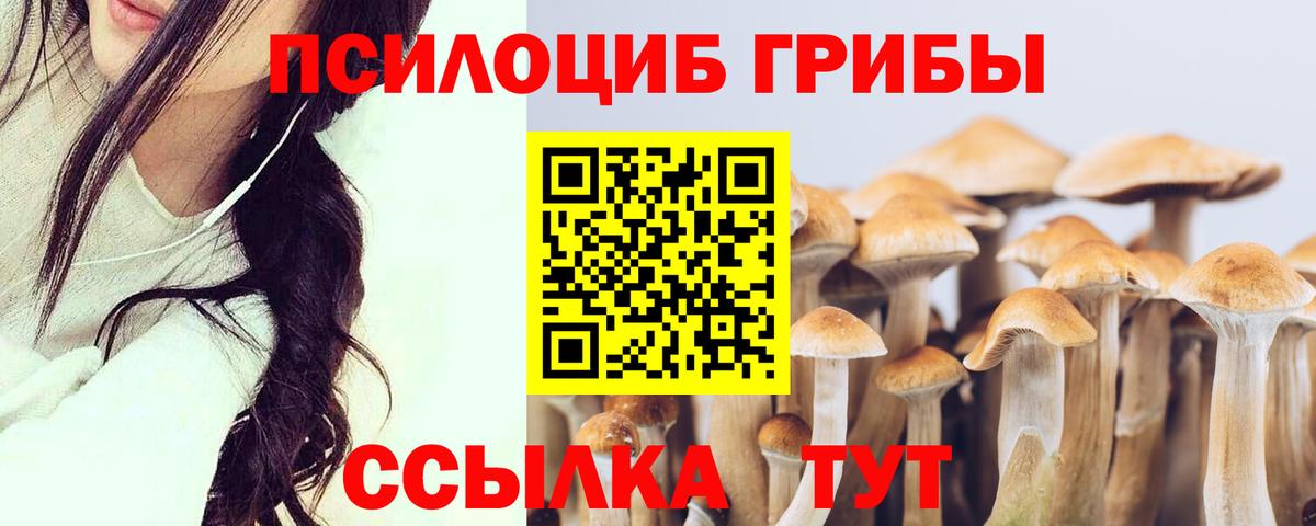 Свободный  как найти наркотики  Вход с VPN  Галлюциногенные грибы мухоморы 